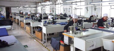 仲尼在高邮艾森丝服饰厂工作期间的养老保险政策解析